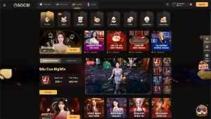 Đánh Giá Cá Nhân Của Sơn Tùng M-TP Về Casino Live Tại Soc88